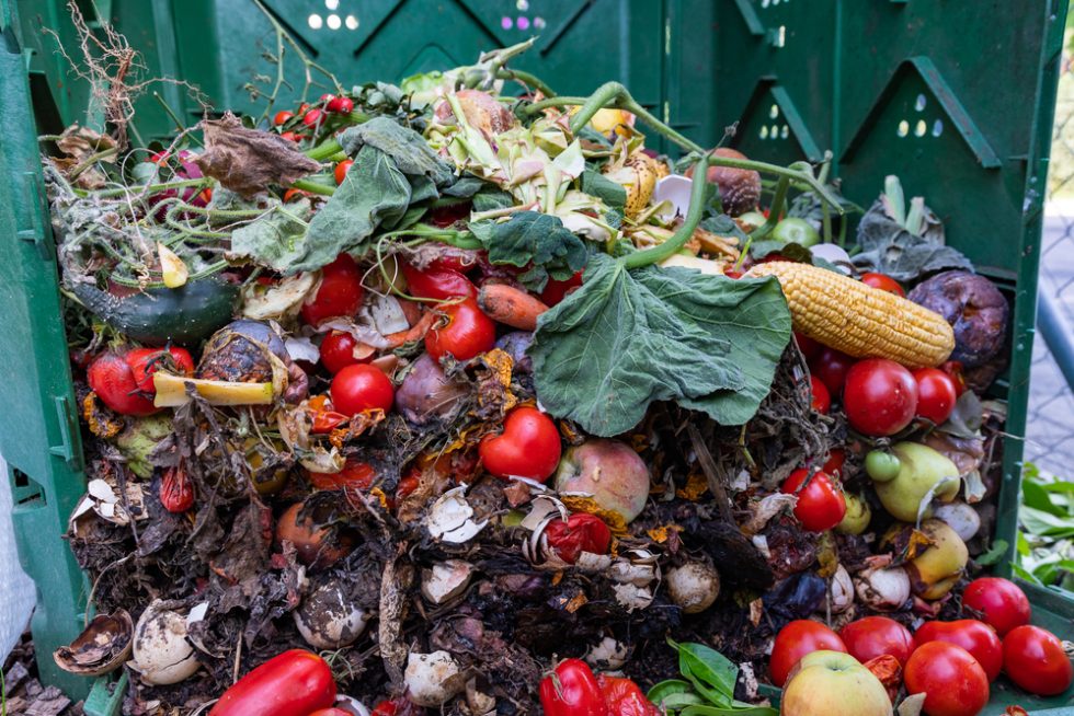 Turning Agricultural Waste Into Biopolymers Duncan Clark